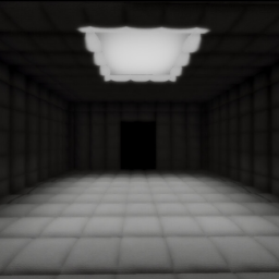 Lunatic Asylum  (Horror)