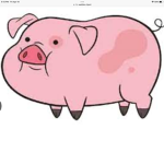 Pig group.e