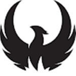 The Elemental Shadow Order