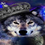 | | - Wolf Pack Battalion - | |