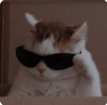 sayla_Roblox