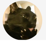 BlueberryPC Fan Group