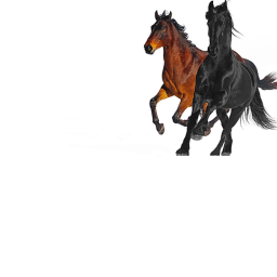 Old town road