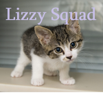 Lizzy Squad