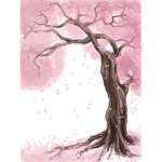 ~Vibe~sakura~