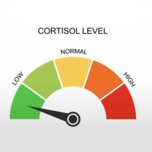 Jump Into Low Cortisol