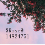 $Rose@