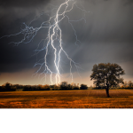 The Canadian Lightning Family