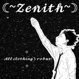 .*:Zenith:*. Homestore