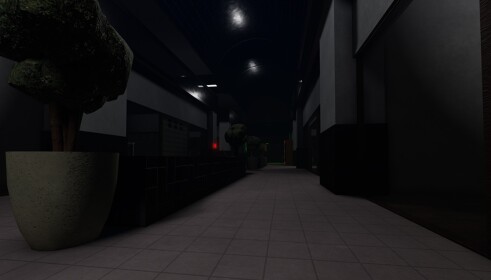 The Mall Experience