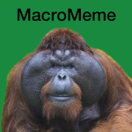 MacroMeme Official Group
