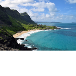 Hawaiian Hangout