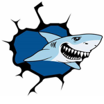 Haifisch Gruppe