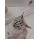 lululr24