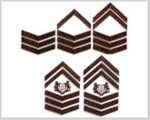 Singapore Armed Forces Specialist Personnel