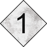 1st Noobic Intelligence Agency