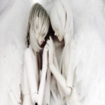 Fallen Angell