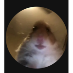 Mamtantoe