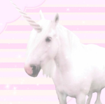 fawnskittens