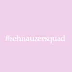 Schnauzer Squad