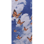 New skys