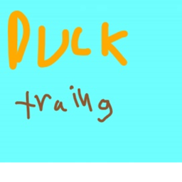 Duck training