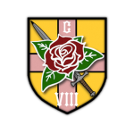 Mechanized Infantry Regiment “Charles VIII”