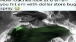 Random gamer 6666
