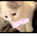 ørphiic