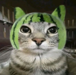 Melon Defense League