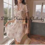 Littlest kawaii's clothing