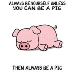 Emme’s piglets <3