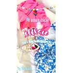 .elfxsie