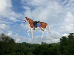 Sandy stirrup ranch
