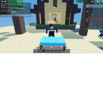 BEDWARS PRO PLAYERS