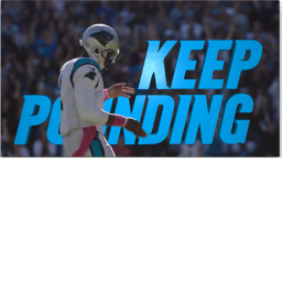 Bank of America Stadium