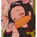 Anime fannns