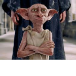 Dobby is free bc of Harry Potter!