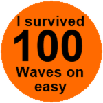 Survived 100 waves on easy