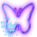 Magical butterfly Spuad