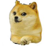Cutest doges ever