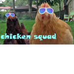 DaChickenSquad