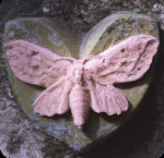 I like bees :) BEES