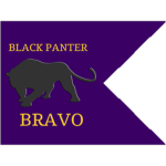 JROTC Bravo Company