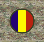 | Training and Doctrine Command | USAR |