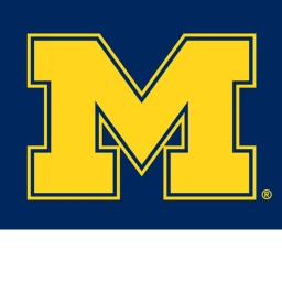 Michigan Football Field icon