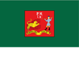 Camp Henry