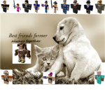 Cute's friend rewards & Co.