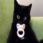 binky bonyk