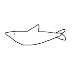 Shark Punching Center (SPC Foundation)